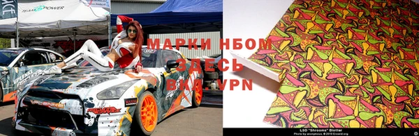 стаф Дмитров